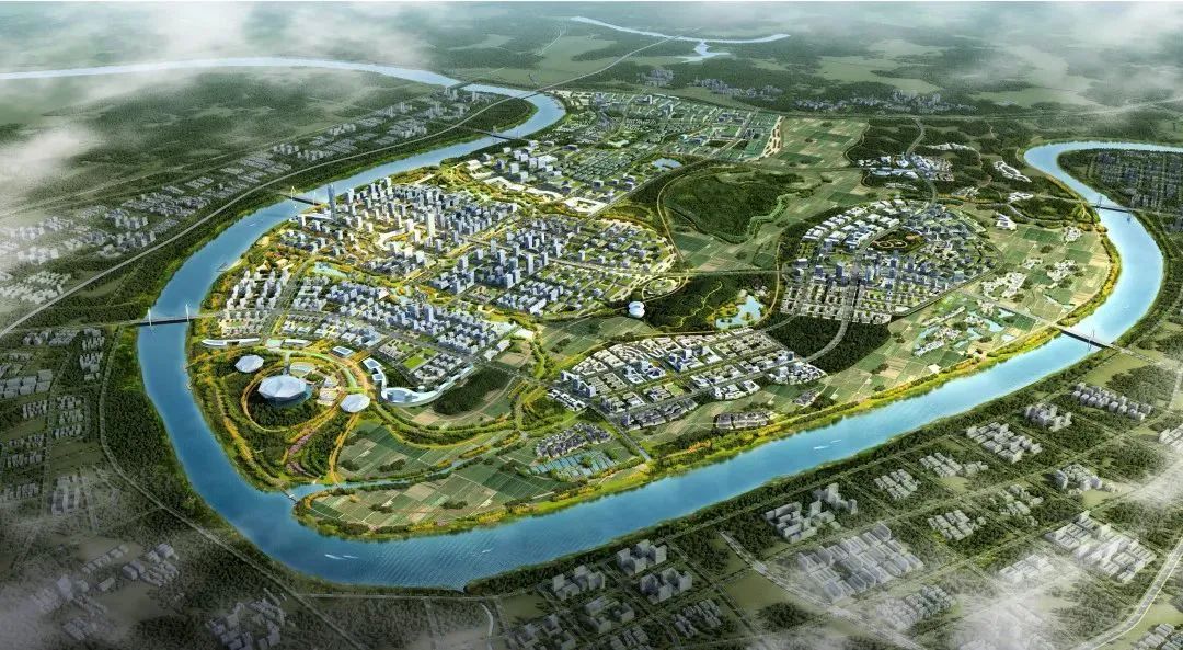 1647393299718629.jpg 5.jpg