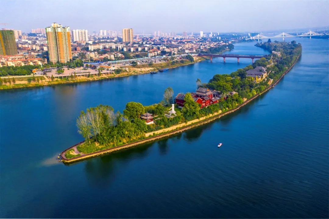 1647393359350329.jpg 10.jpg