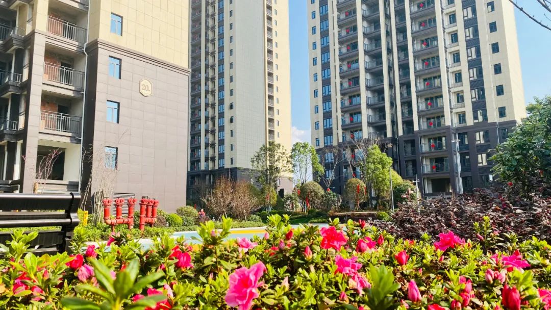 1648088206989453.jpg 5.jpg