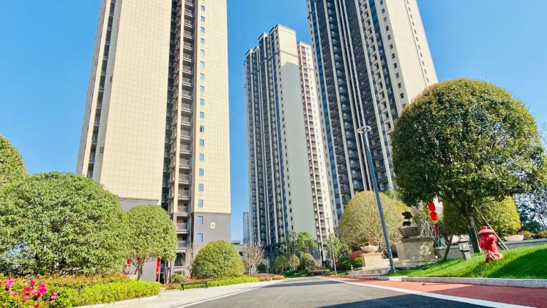 1648088218347264.jpg 6.jpg