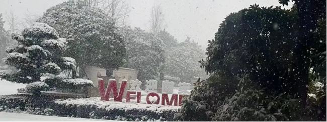 1706166081181261.jpg 1706166083167.jpg