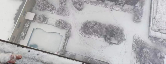 1706166104651324.jpg 1706166100480.jpg